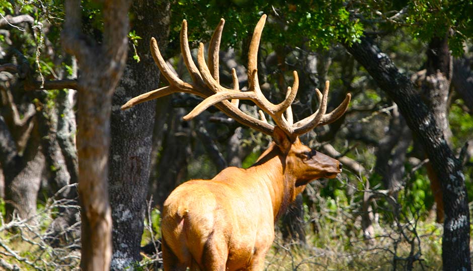 Cinco Canyon Ranch Downloads