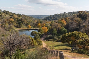 The Property